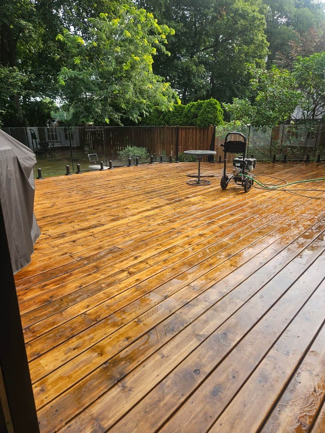 Freshly washed cedar deck, boards still wet, pressure washer on the deck