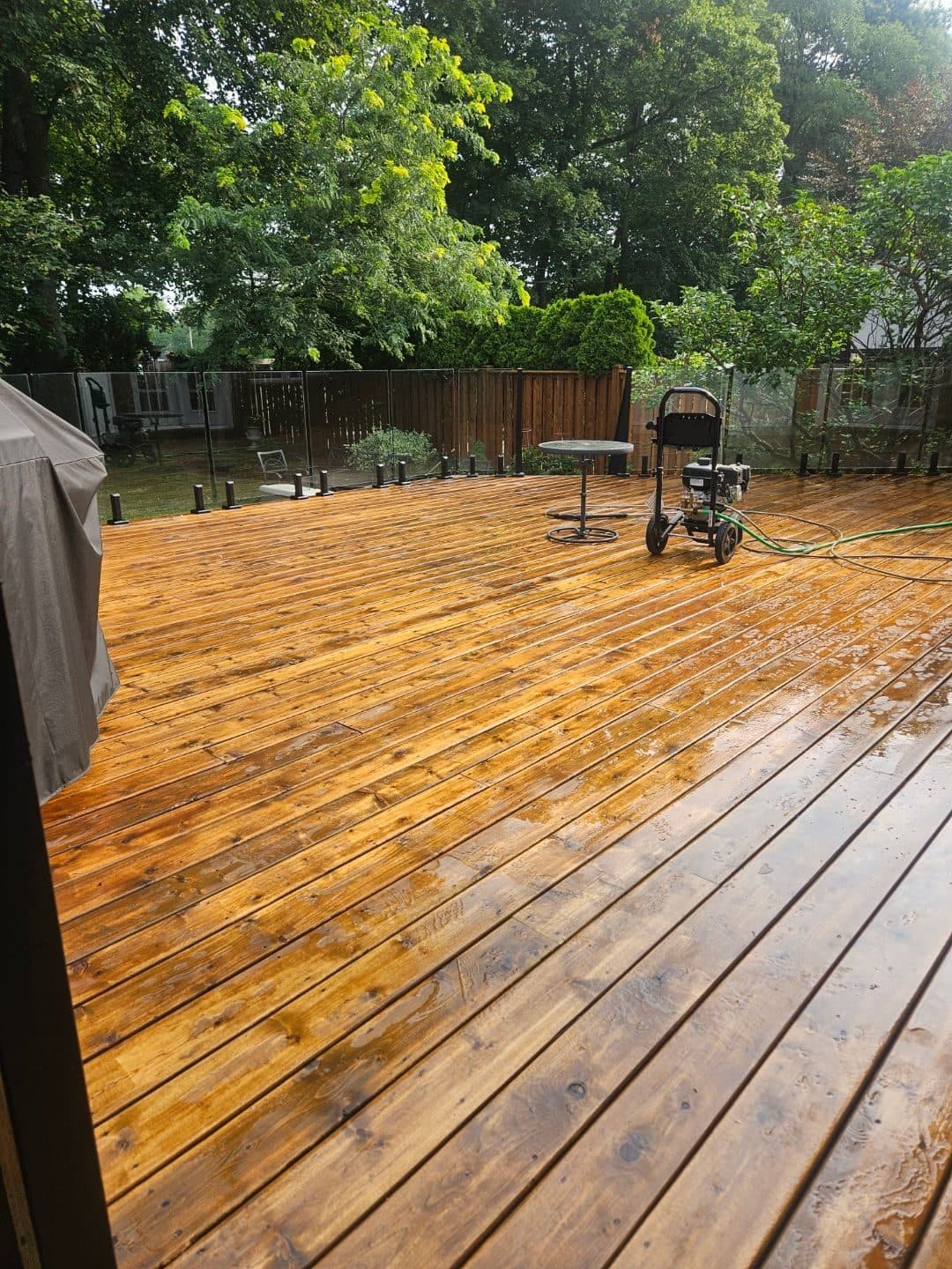 Close-up of cedar deck boards, grain and colour fully back after treatment